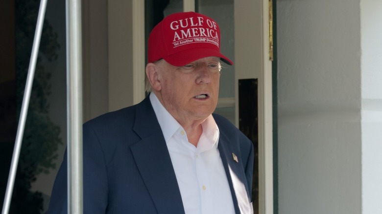Donald Trump arrives on the South Lawn to talk to reporters outside the White House (2025)