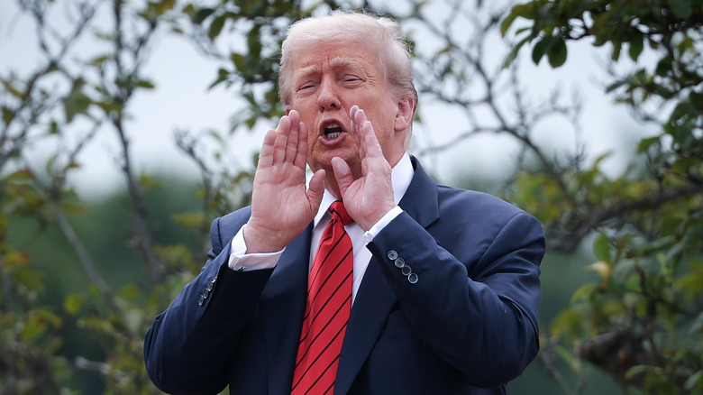 Donald Trump shouting from the White House roof