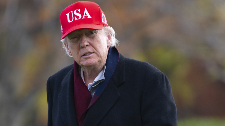Donald Trump without his orange glow wearing a red USA hat