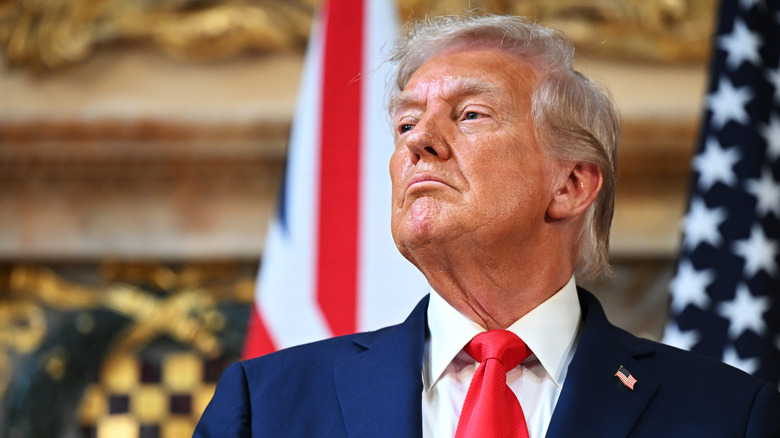 Donald Trump from a low angle with two flags behind him.