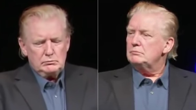 Donald Trump s Complete Hair Transformation Donald Trump s Complete Hair Transformation