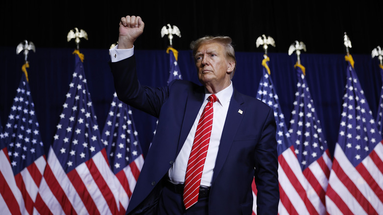 Donald Trump raising fist, American flags