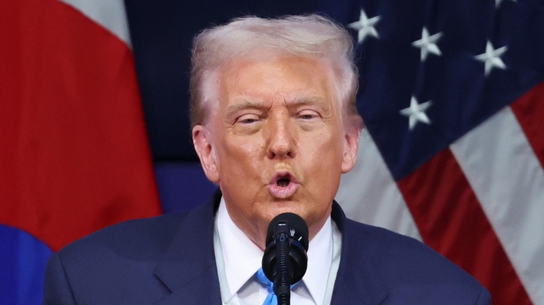 Donald Trump speaks during the APEC CEO Summit Korea 2025 in Gyeongju, South Korea