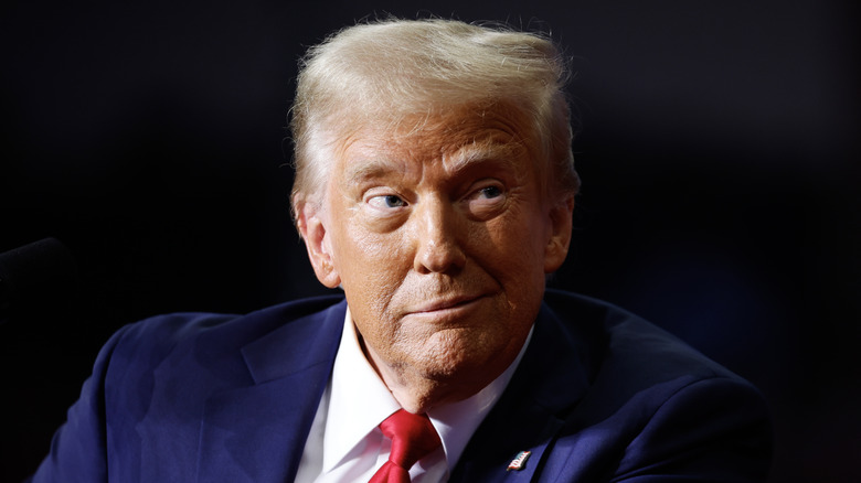 President Donald Trump grins holds a campaign rally at the PPG Paints Arena on November 04, 2024 in Pittsburgh, Pennsylvania.