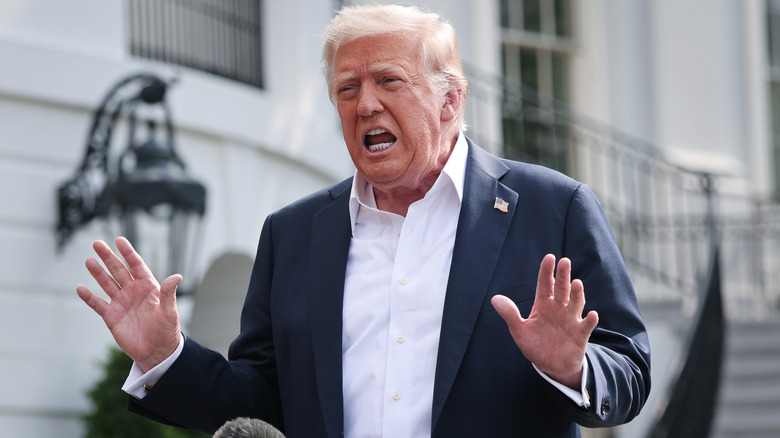 Donald Trump speaking to reporters