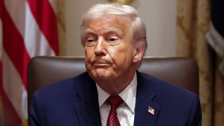 Donald Trump participates in a discussion in the Cabinet Room of the White House in Washington, DC (2025)