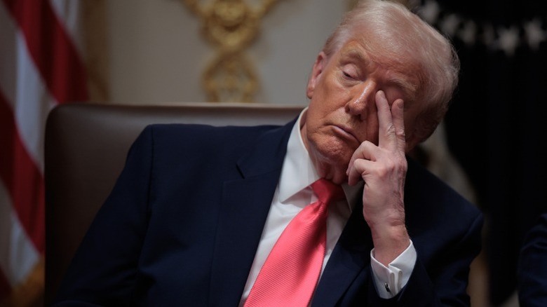 Donald Trump attends a meeting of his Cabinet in the White House in Washington, DC (2025)