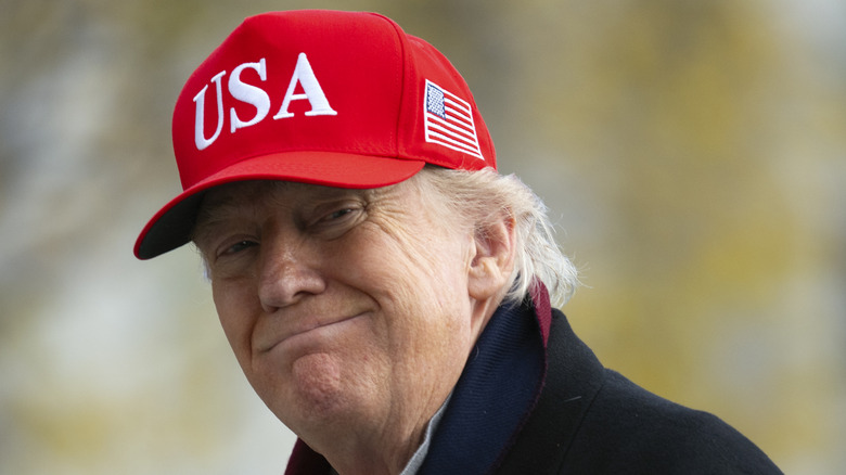Donald Trump smiling while wearing a red USA hat