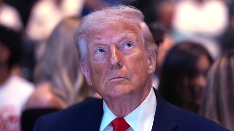 Donald Trump at a UFC fight