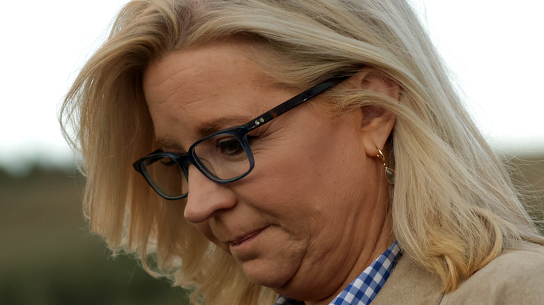 Liz Cheney after conceding