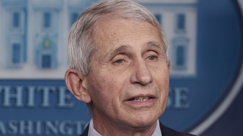 Dr. Anthony Fauci at the White House