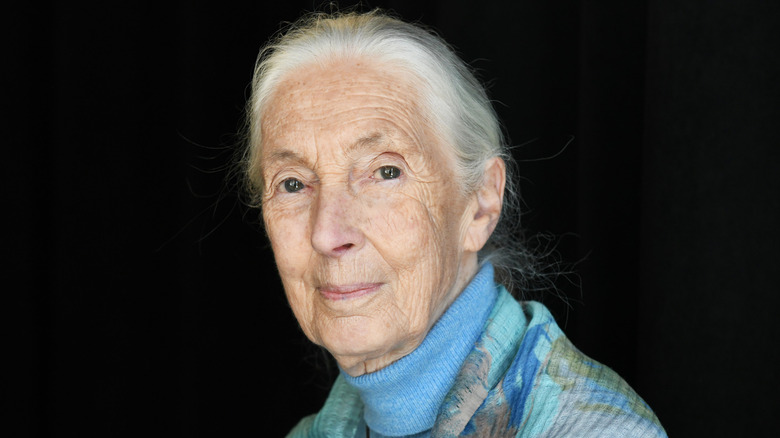 Dr. Jane Goodall posing for photos in a green and blue jacket with a blue turtleneck underneath it