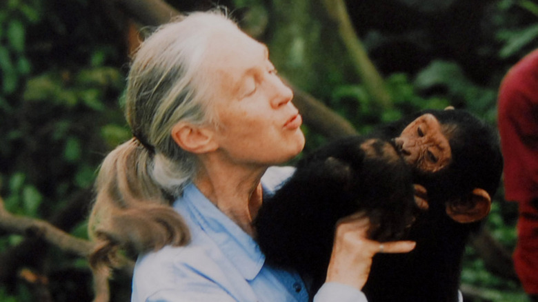 Dr. Jane Goodall holding a chimpanzee while making a kissy face