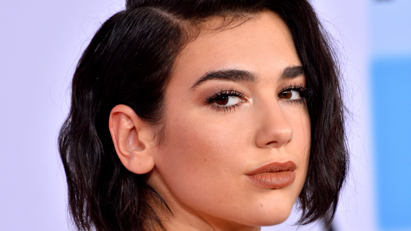 Dua Lipa How Much Is The Famous Singer Worth?