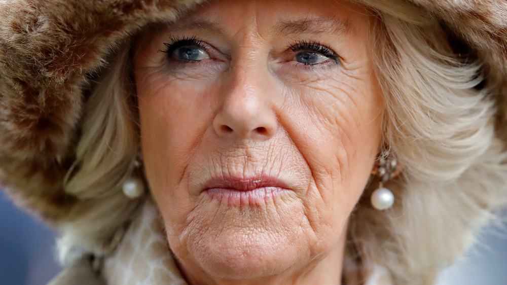 Duchess of Cornwall Camilla