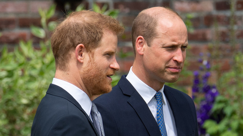 Prince Harry and Prince William in a garden