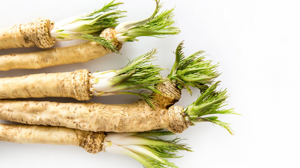 Horseradish