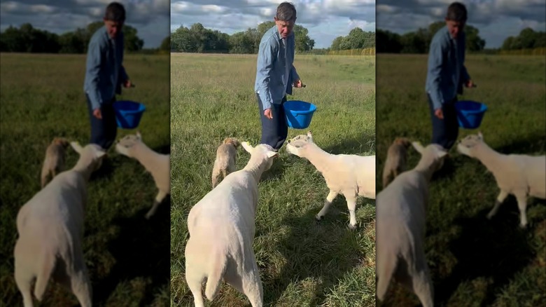 Ellen DeGeneres on her Cotswolds property in May 2025