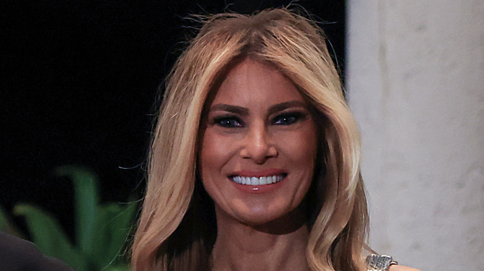 Elon Musk Accidentally Exposes Melania Trump's Hair Blending Fail To Millions
