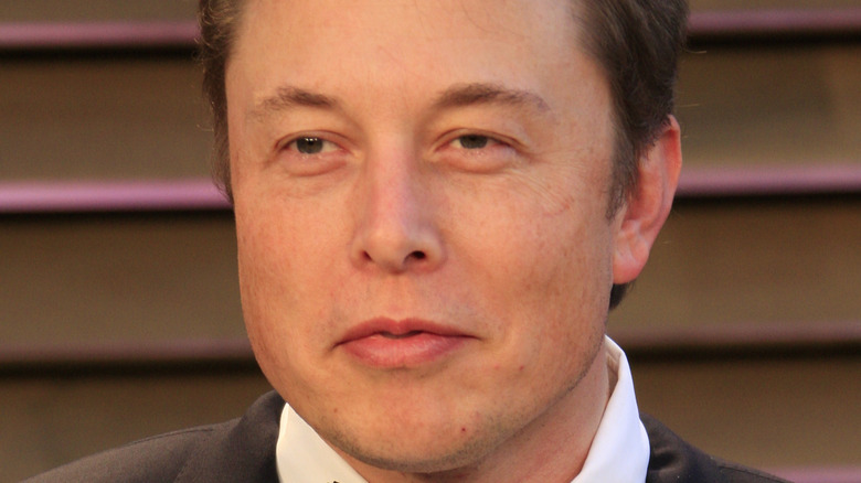 Elon Musk posing 