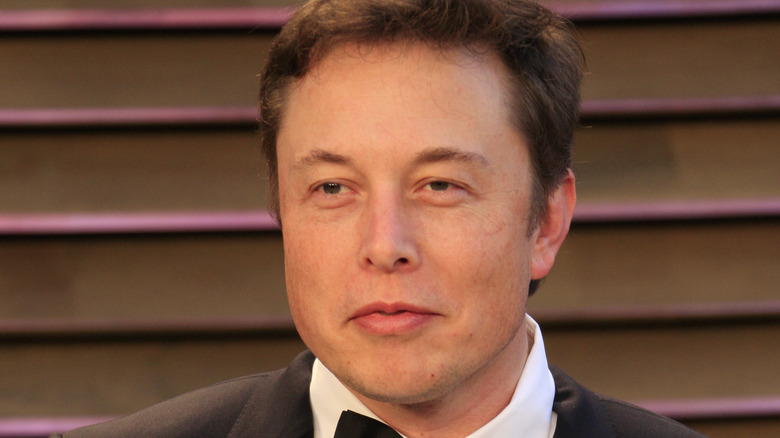 Elon Musk posing 