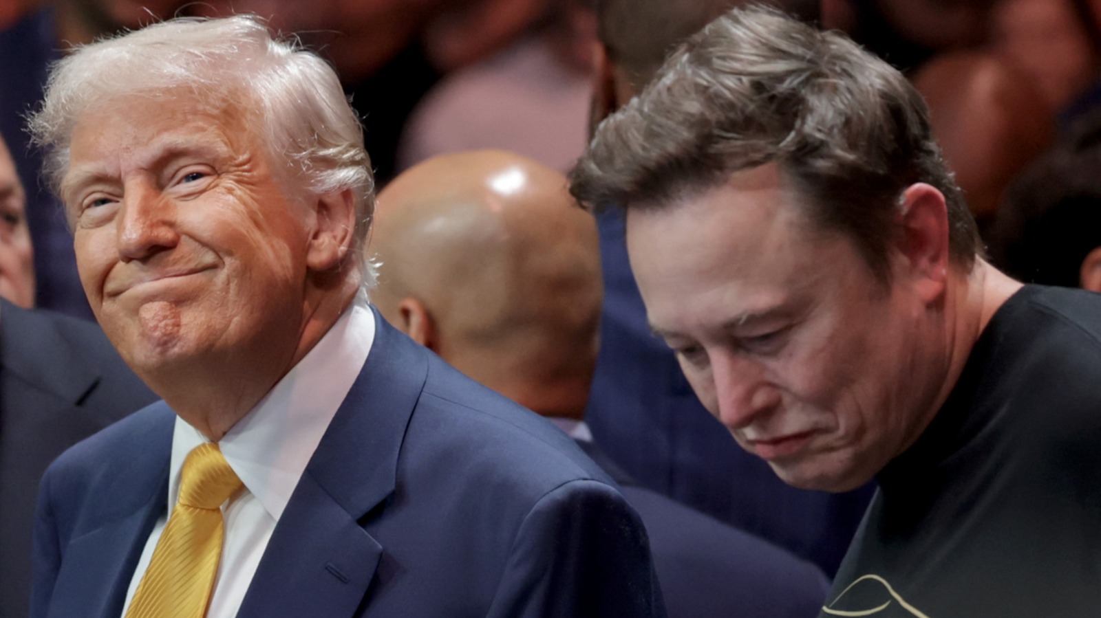 <a href="https://www.thelist.com/1967625/elon-musk-might-not-be-worlds-richest-man-trump-surely-happy/" target="_blank">Elon Musk Might Not Be The World’s Richest Man Anymore (& Trump Is Surely Happy)</a>