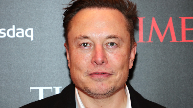 Elon Musk posing 