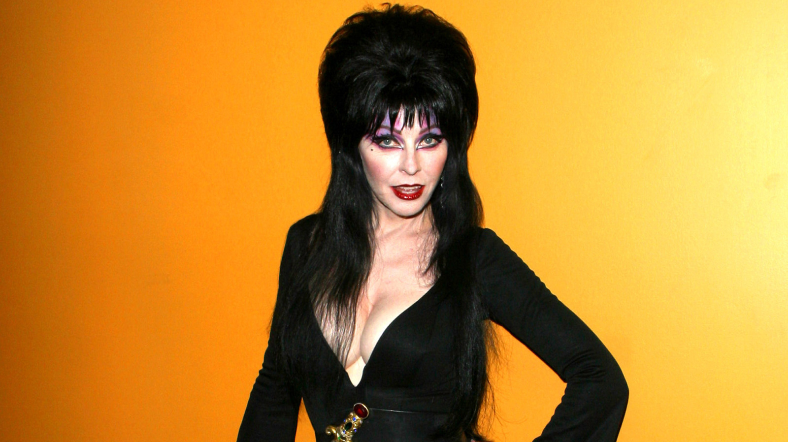 <a href="https://www.thelist.com/2194018/elvira-cassandra-peterson-looks-different-with-signature-look-stripped-away/" target="_blank">Elvira Looks Different With Her Signature Look Stripped Bare</a>