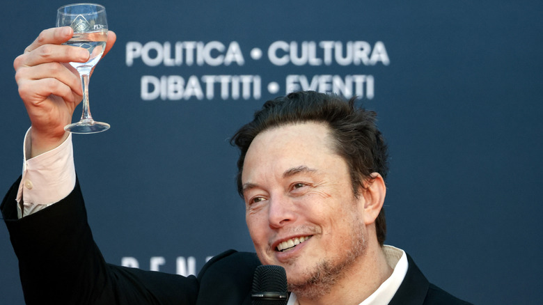 Elon Musk giving a toast