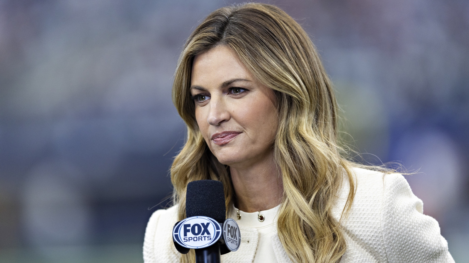 Erin Andrews Got Torn To Shreds Over This Obnoxious Outfit Choice
