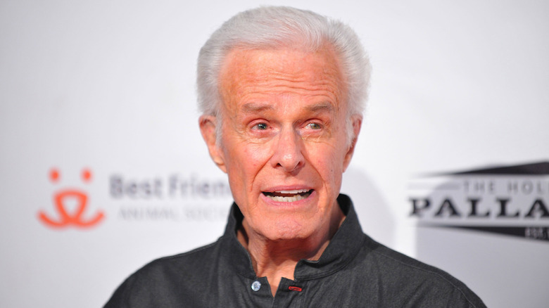 Robert Culp attends the Lint Roller charity event