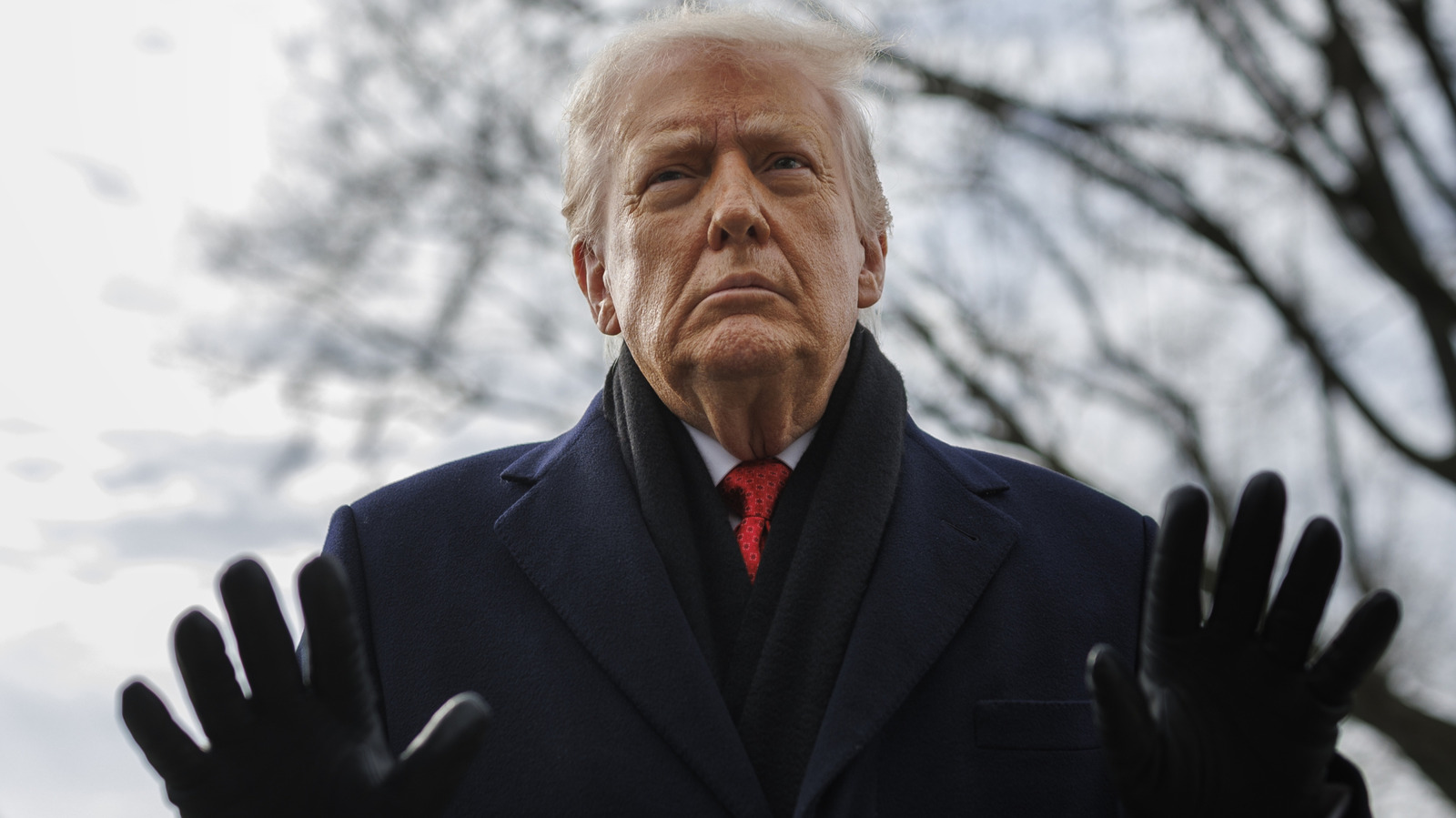 ドナルド・トランプが自分にちなんで名付けたものすべて（これまで）