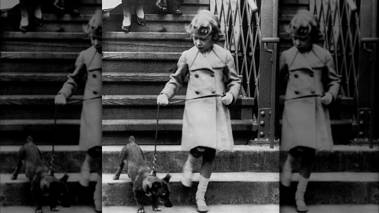 Then-Princess Elizabeth walking corgi