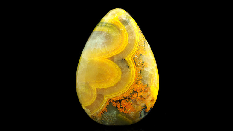 rare polished bumble bee jasper