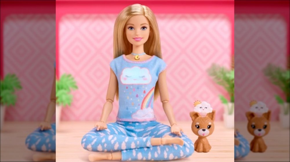 Barbie Wellness