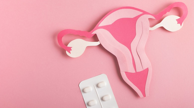 model uterus and tablets 
