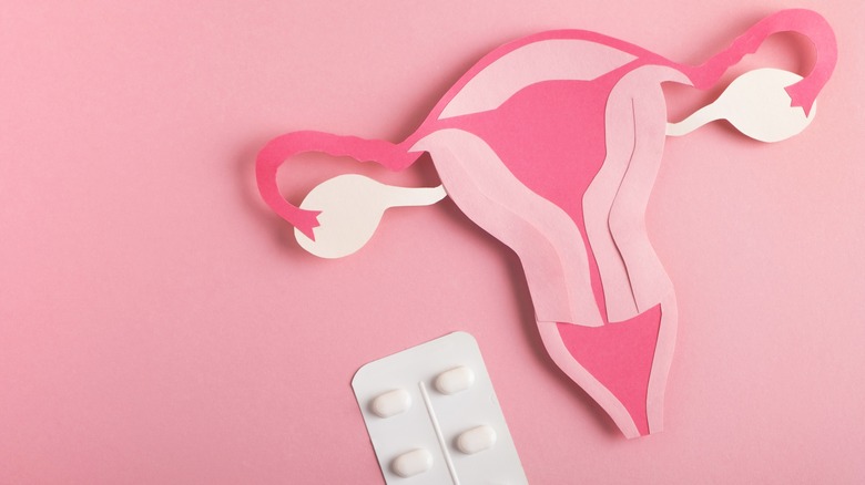 model uterus and tablets 