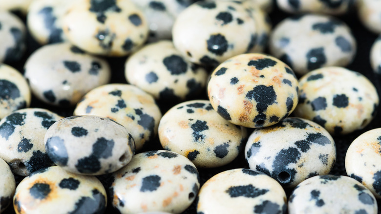 Dalmatian jasper