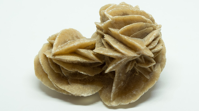 A desert rose found in Tunisia