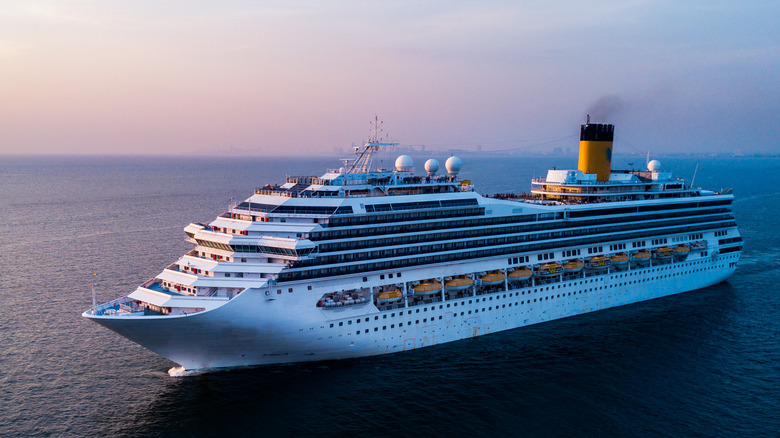 A large cruise ship at sea 