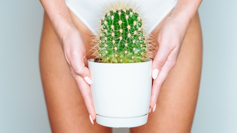 woman holds a cactus