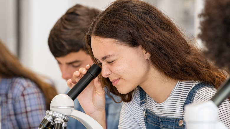 Students looking into a microscope