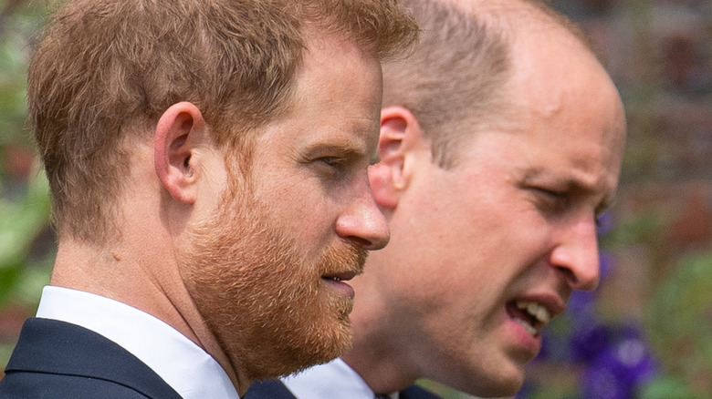 Princes William and Harry at Diana's statue unveiling