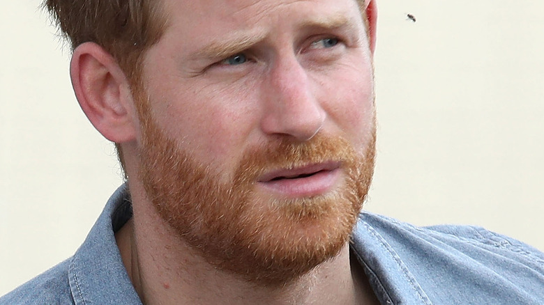 Prince Harry in blue shirt