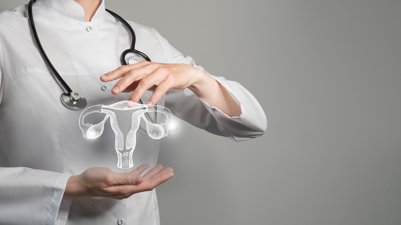 Doctor holding graphic of uterus and fallopian tubes
