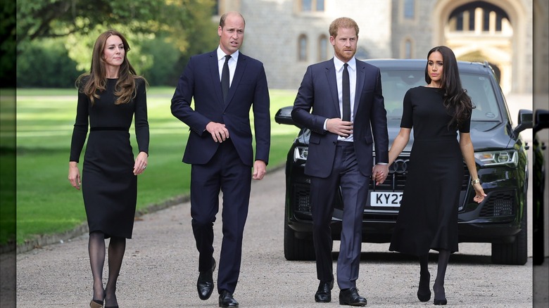 The Waleses and the Sussexes walk together at Queen Elizabeth's funeral