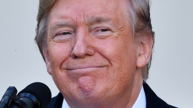 Donald Trump smirk looking left