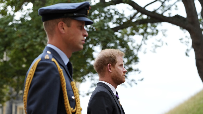Prince William and Prince Harry standing next to each other