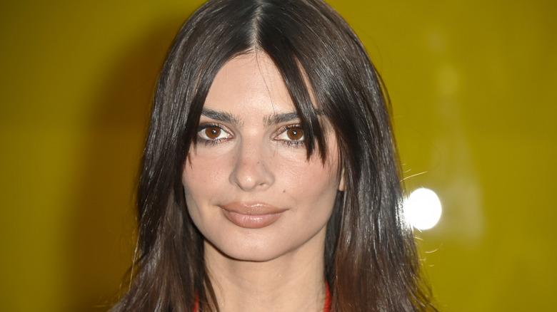 Emily Ratajkowski slicked back hair in ponytail