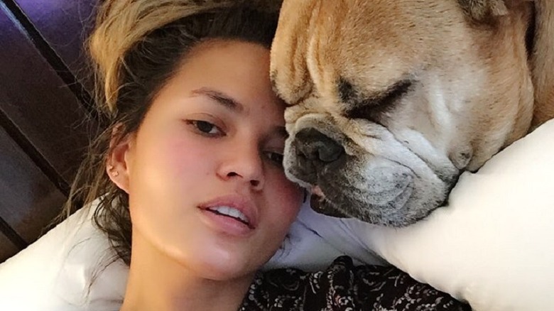 Chrissy Teigen no makeup dog